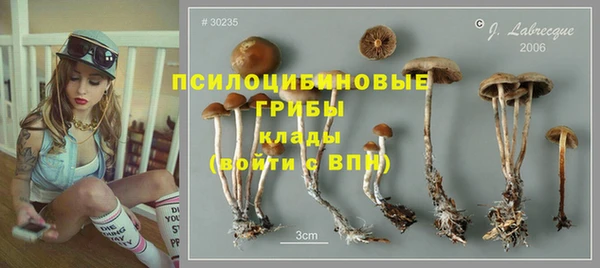 mdpv Белоозёрский