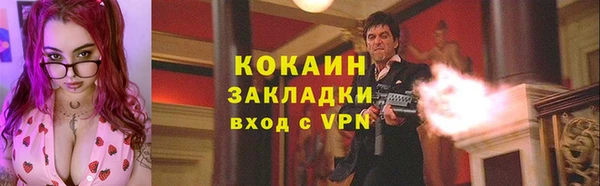прущие грибы Беломорск