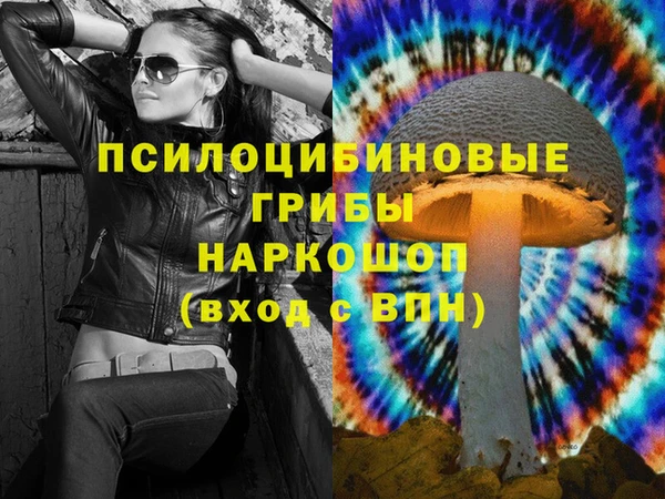 прущие грибы Беломорск