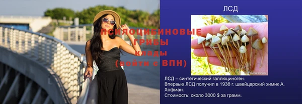 дживик Белокуриха