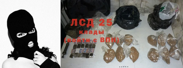 прущие грибы Беломорск