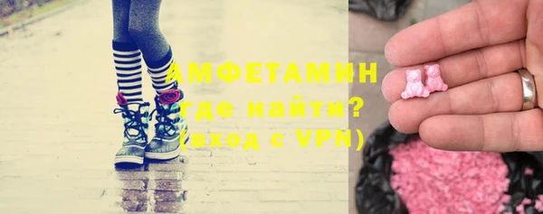 прущие грибы Беломорск