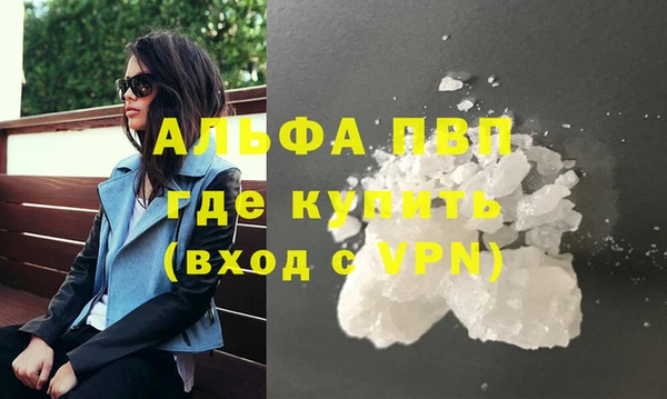 прущие грибы Беломорск